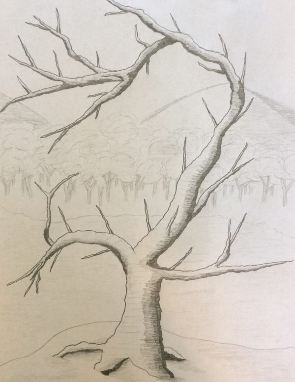 Drawing No A Lonely Tree Michael Kravchuk