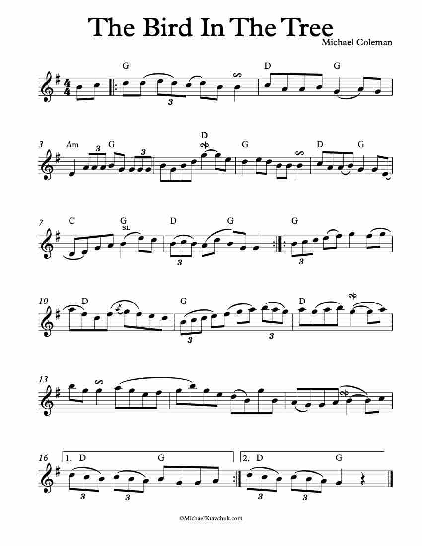 Free Violin Sheet Music – The Bird In The Tree – Fiddle
